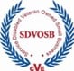 SDVOSB Cert Pic